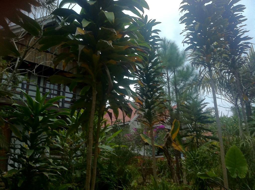 Nature Land Hotel Kalaw Ngoại thất bức ảnh